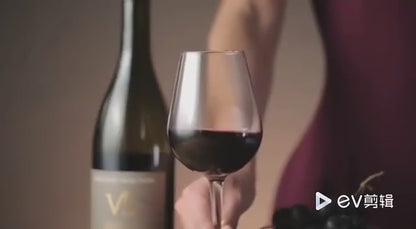 European and American hot-selling fresh-keeping electronic wine stopper portable mini smart wine vacuum stopper